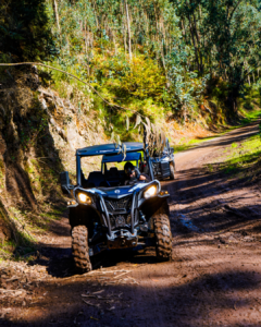 Buggies driving along an off-road forest trail in Madeira