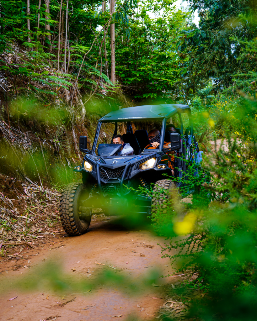 Buggy Tour Madeira on mountain trails
